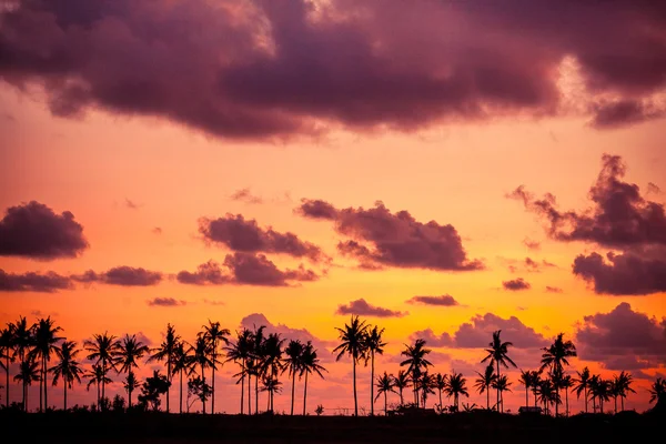 Amanecer — Foto de Stock