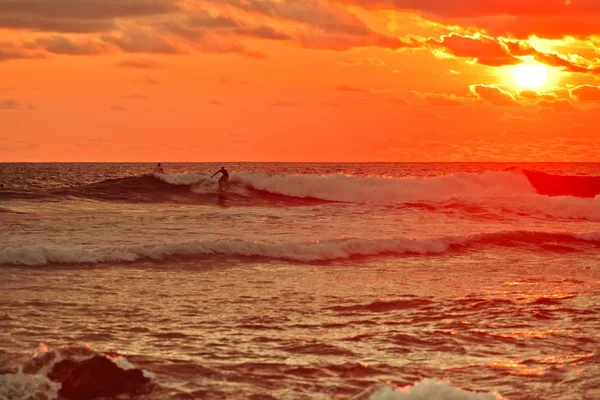 Surfista em pé — Fotografia de Stock