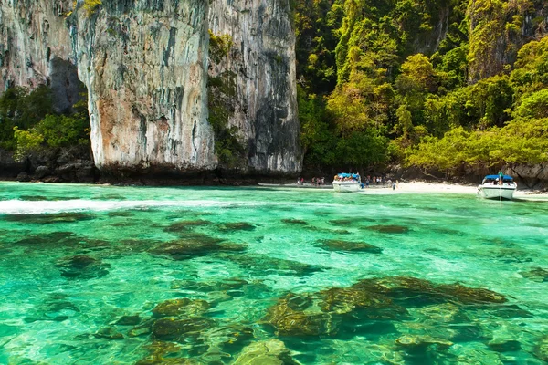 Тропічний пляж з прозорою зеленою водою і купою риби — стокове фото