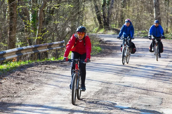 Amici in bicicletta — Foto Stock