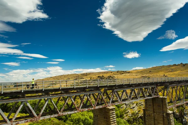 Girl stands on the former railway bridge — Stock Photo, Image