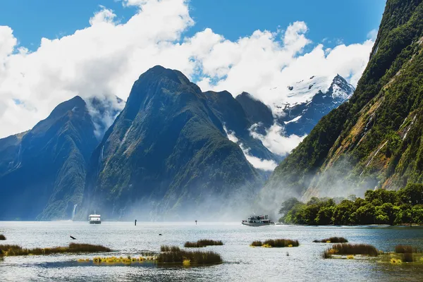 Фьорды Новой Зеландии — стоковое фото