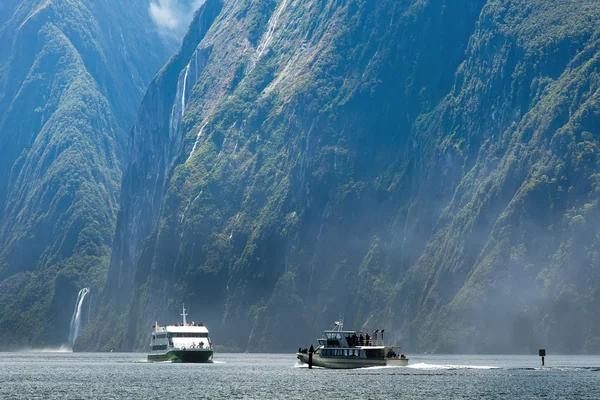 Fjordar i Nya Zeeland — Stockfoto