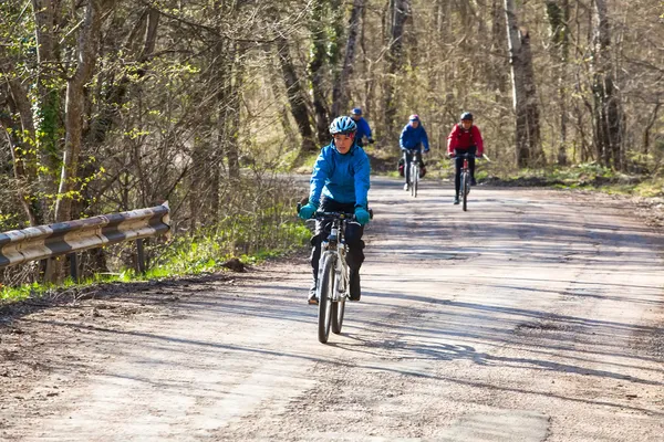 Друзі, їзда на велосипедах Стокова Картинка