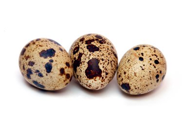 bıldırcın yumurtası