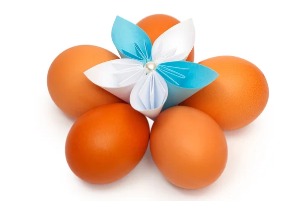 Eggs with a paper flower — Stock Photo, Image