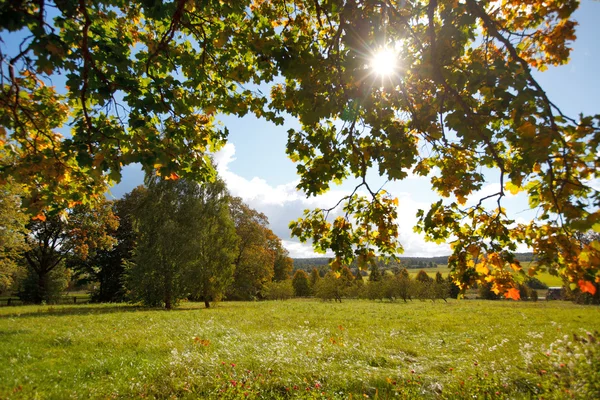 Herbstlandschaft mit Baum und Haus — Stockfoto