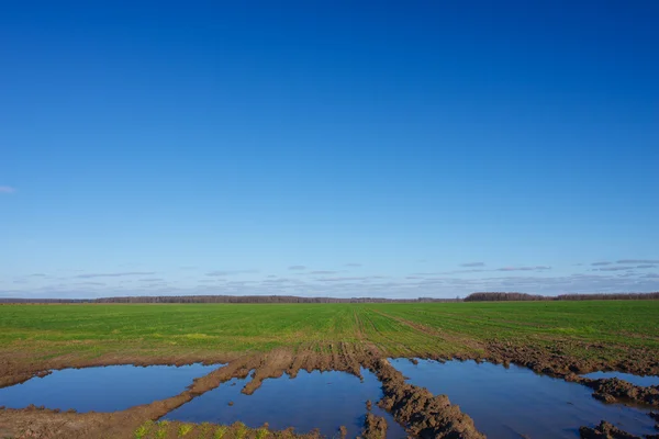 Paisaje con campos inundados — Foto de Stock