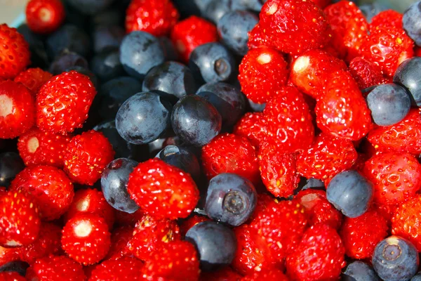 블루베리와 딸기 — 스톡 사진