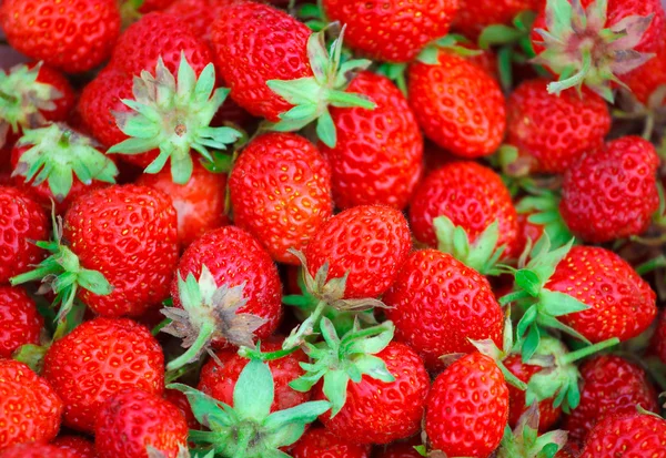 Many strawberries as a texture — Stock Photo, Image