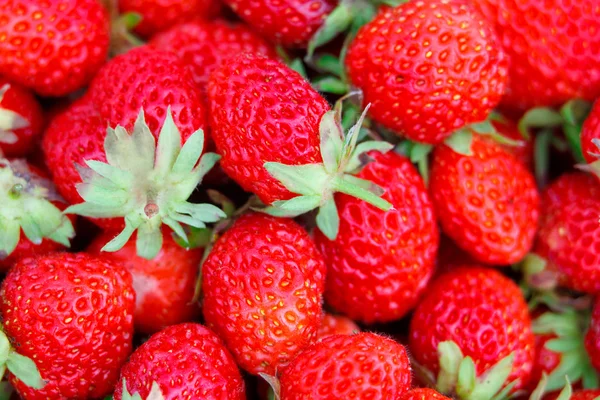 Many strawberries as a texture — Stock Photo, Image