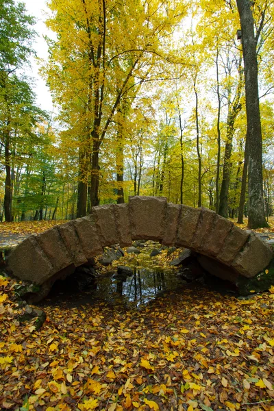 Brücke und Farbe Blätter im Herbst — Stockfoto