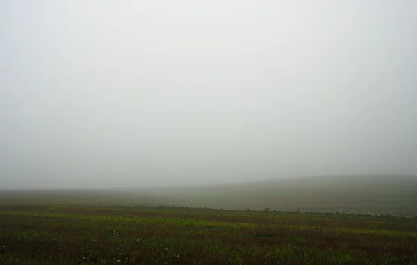 Field in fog in Autumn — Stock Photo, Image