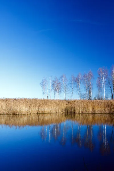 Landschaft mit Wasser und Birken im Herbst — Stockfoto