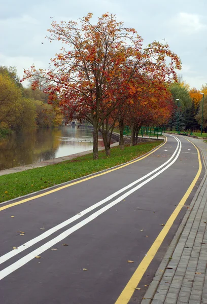 Autumn cityscape with rowan and bicycle path — Stock Photo, Image