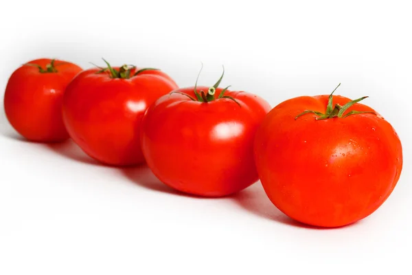 Cuatro tomates en fila sobre un fondo blanco — Foto de Stock