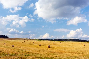 sahada haystacks Ağustos, yatay