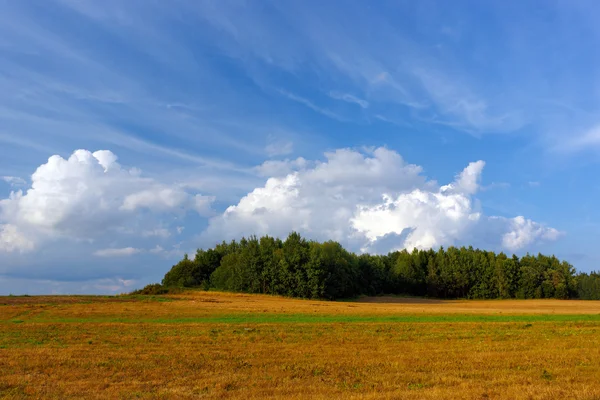 有田野和云彩的夏季风景 — 图库照片