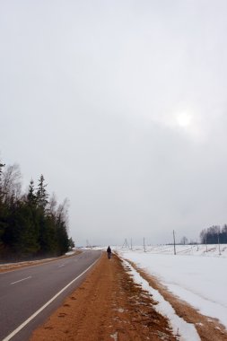 yol kenarında ve orman desember içinde