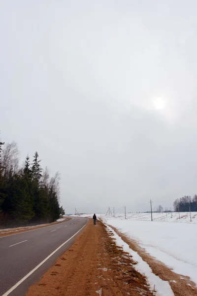 Bord de la route et forêt en décembre — Photo