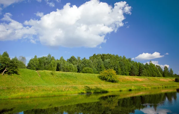 Letní krajina s řekou a trávy na pobřeží — Stock fotografie