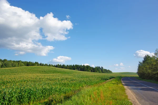 Paysage d'été avec route et ciel bleu — Photo