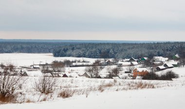 kırsal kış manzara bir köy ve orman