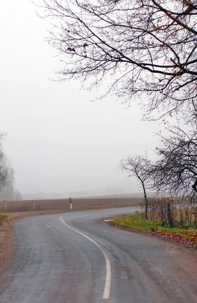 Árvores e estrada em nevoeiro no outono — Fotografia de Stock