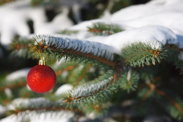 Rote Kugel auf dem Weihnachtsbaum mit Schnee — Stockfoto