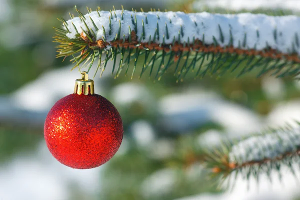 红色的球在圣诞树上的雪 — 图库照片