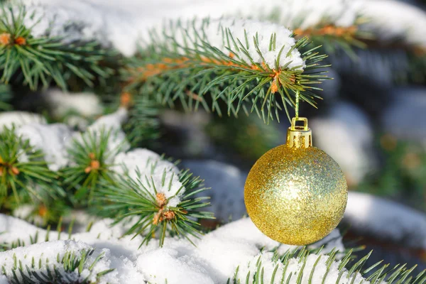 Gele bal op de kerstboom met sneeuw — Stockfoto