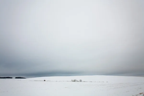 Paisaje invernal con nieve y bosque —  Fotos de Stock