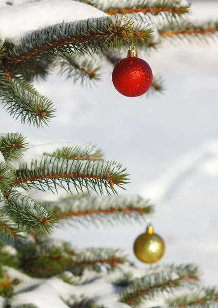 Rode en gele ballen op de kerstboom met sneeuw Stockfoto