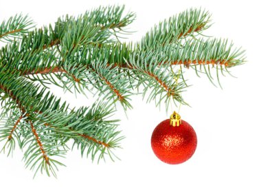 Kırmızı Top Noel ağacı üzerinde