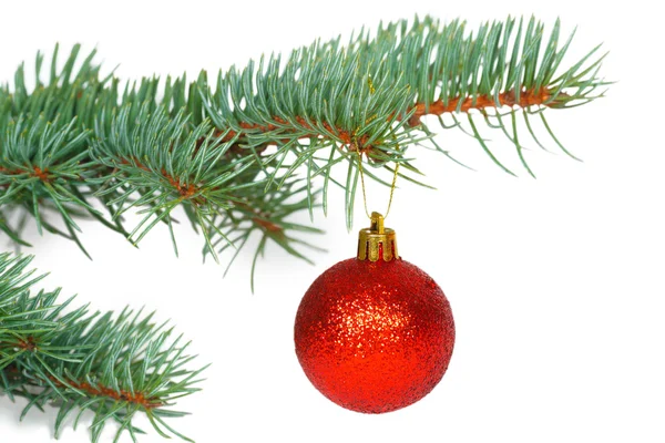Red ball on the Christmas tree — Stock Photo, Image