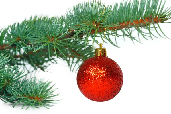 Red ball on the Christmas tree — Stock Photo, Image