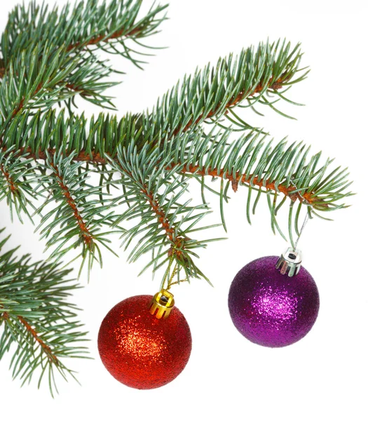 Palle rosse e viola sull'albero di Natale — Foto Stock