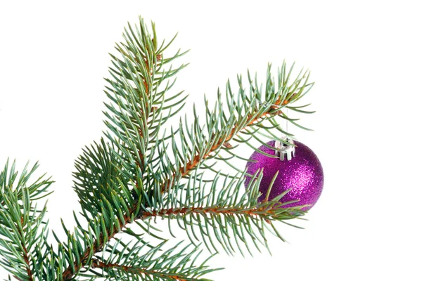 Violet ball on the Christmas tree — Stock Photo, Image