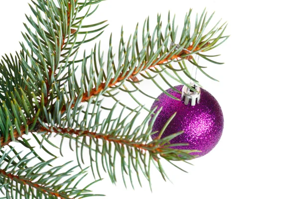 Balle violette sur le sapin de Noël — Photo