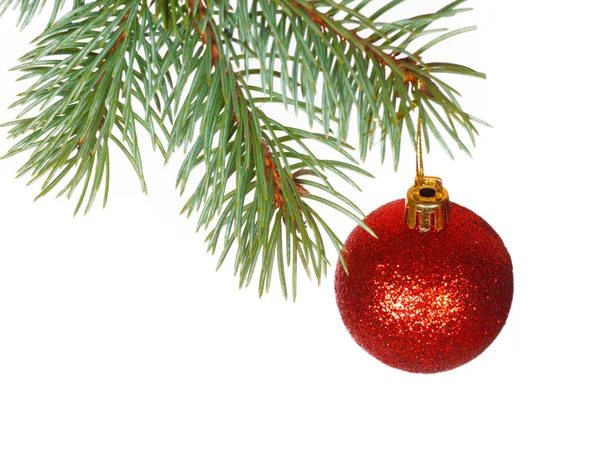 Red ball on the branch of Christmas tree — Stock Photo, Image