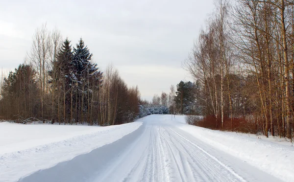 Floresta de inverno com estrada de neve — Fotografia de Stock