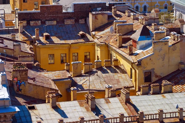 petersburg çatılarda göster