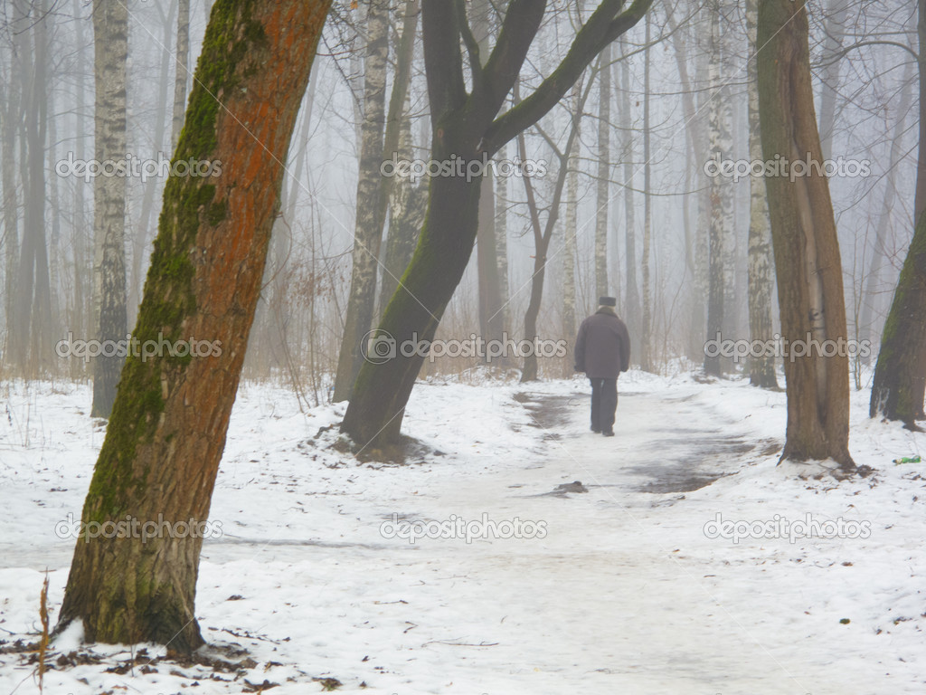 February grove in fog and melting snow