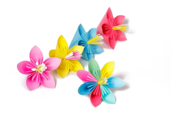 Four colored paper flowers and flower with varicolored petals — Stock Photo, Image