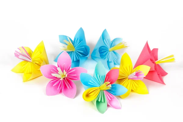 Sieben farbige Papierblumen und Blume mit bunten Blütenblättern — Stockfoto