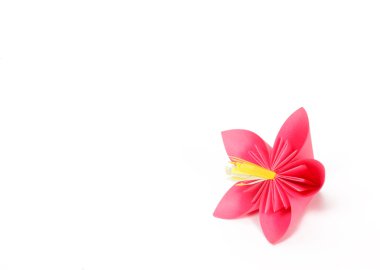 Kağıt Pembe çiçek