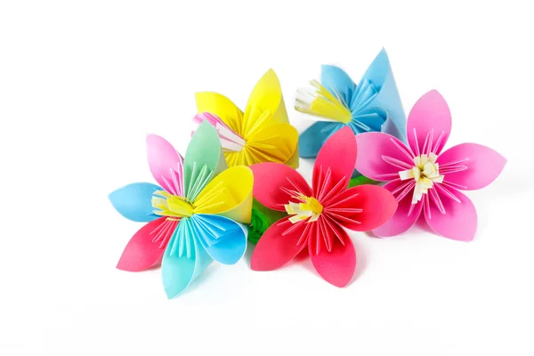 Many colored paper flowers and flower with varicolored petals — Stock Photo, Image