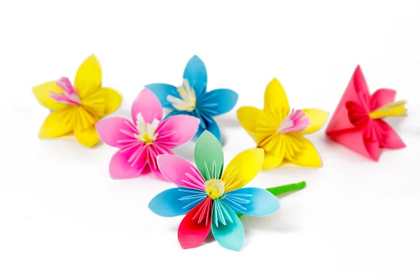 Many colored paper flowers and flower with varicolored petals — Stock Photo, Image