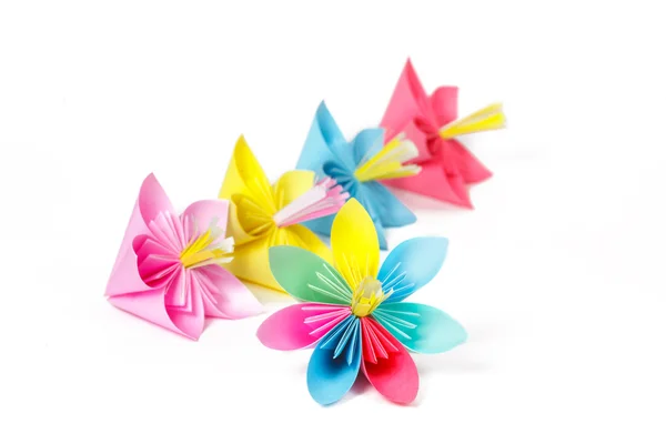 Many colored paper flowers and flower with varicolored petals — Stock Photo, Image