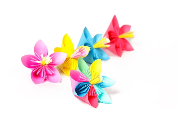 Many colored paper flowers and flower with varicolored petals — Stock Photo, Image